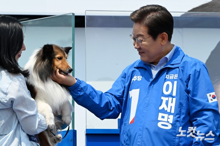 이재명 더불어민주당 대선 후보가 30일 오후 강원 춘천시 춘천역 광장에서 열린 집중유세에서 강아지를 만지고 있다.