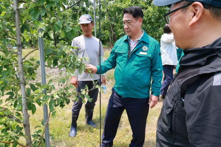 영동군 제공