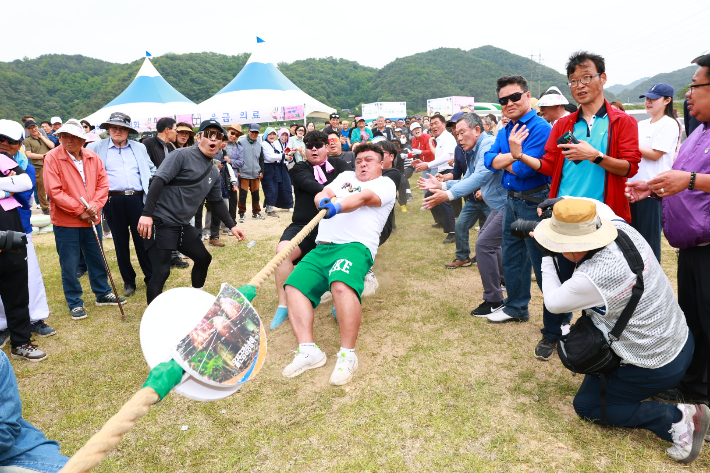 제39회 평해단오제 줄다리기 행사. 울진군 제공