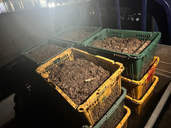 군산해경이 지난 1일 젓갈 찌꺼기를 바다에 버리던 젓갈제조업자 등을 적발했다. 군산해경 제공