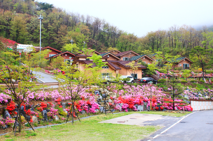 전북 진안군 백운면 데미샘자연휴양림의 숲속의집. 전북도 제공