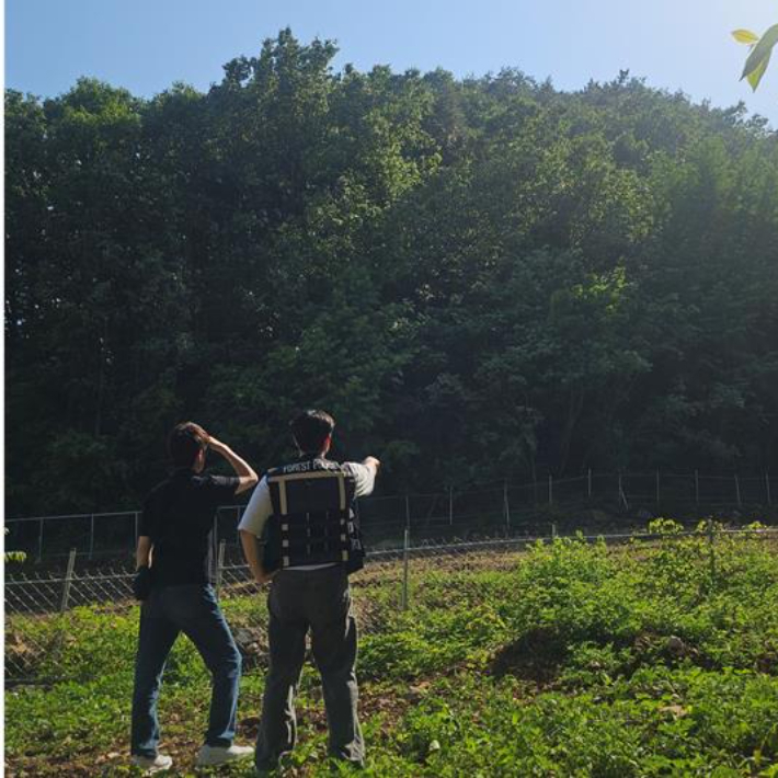 울진군청 공무원들이 불법행위 특별단속을 위해 산림 인접지를 순찰하고 있다. 울진군 제공