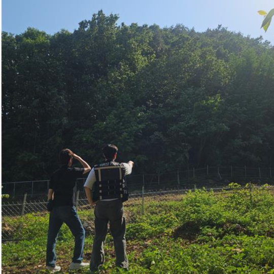 울진군청 공무원들이 불법행위 특별단속을 위해 산림 인접지를 순찰하고 있다. 울진군 제공