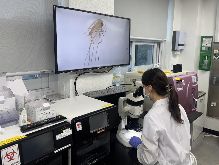 대구시 보건환경연구원 제공