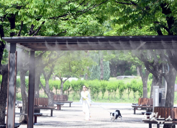 더위 식혀줄 여의도공원 쿨링포그