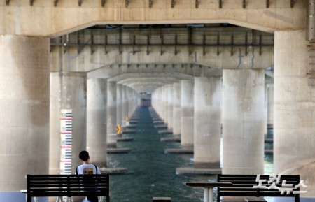 다리 아래에서 피서