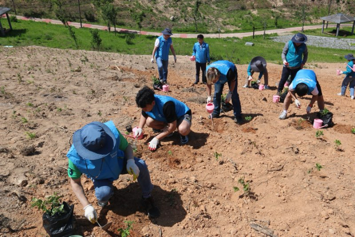 한국원자력환경공단과 포항노동지청이 5일 영덕군 별파랑공원에서 진달래 묘목심기 자원봉사를 하고 있다. 공단 제공