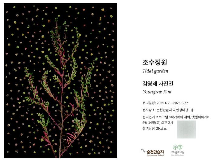 순천만 염생식물 전시회 홍보물. 순천시 제공