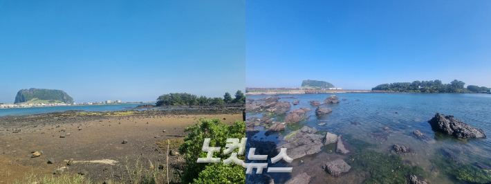 제주 서귀포시 성산읍 오조리 내수면 습지를 따라 걷다 보면 성산일출봉이 마주 보인다. 서귀포=최서윤 기자  