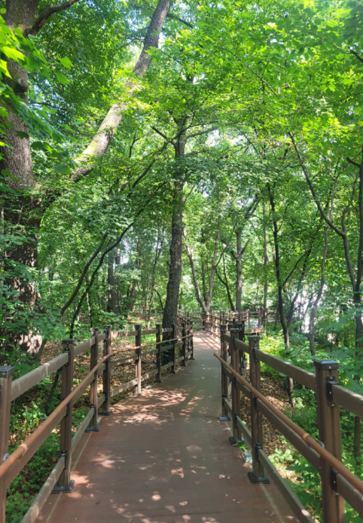 충북대학교 캠퍼스 내 행복단길. 청주시와 충북대학교가 함께 조성했다. 청주시 제공