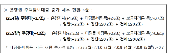 은행권 주담대 증가 세부 현황. 금융위원회 제공