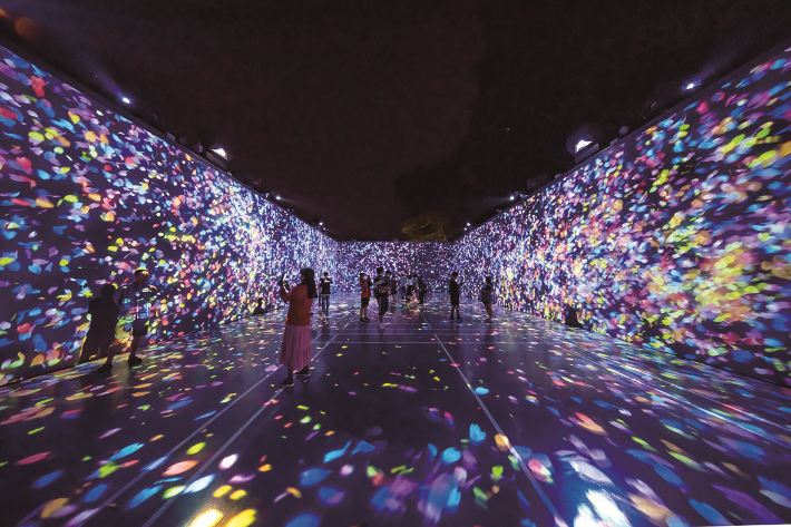 통영 강구안 미디어아트. 경남도청 제공 