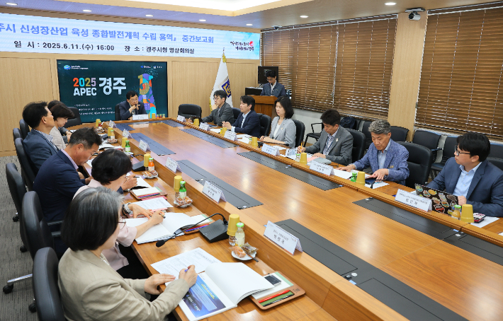 주낙영 경주시장이 신성장산업 육성 종합발전계획 수립 용역 중간 보고회를 주재하고 있다. 경주시 제공