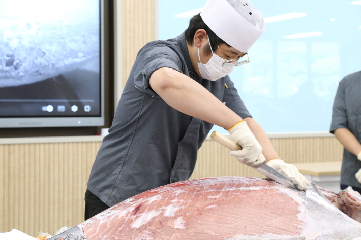 가톨릭관동대서 '참치 해제 시연회' 열려…현장 중심 교육 확대