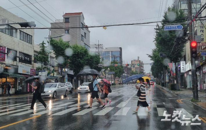 비 내리는 모습. 박진홍 기자