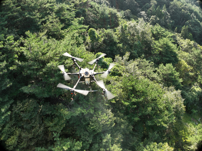 정밀 드론 방제. 경남도청 제공 