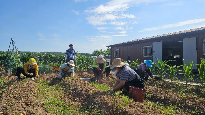 도시텃밭 농산물 재배 현장. 순천시 제공