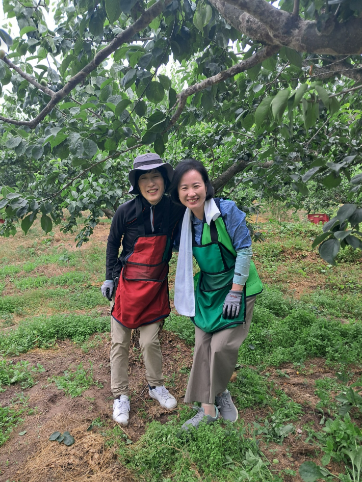 매실 수확 현장에 선 최미선 평생교육과장과 추영아 출장소장(왼쪽부터). NH농협은행 제공