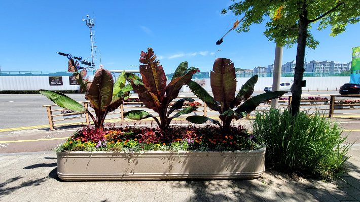 국가정원 동문의 열대풍 거리 조성. 순천시 제공