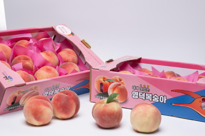 "영덕 복숭아 맛보러 오세요"…영덕군, 7~8월 판매 장터 운영
