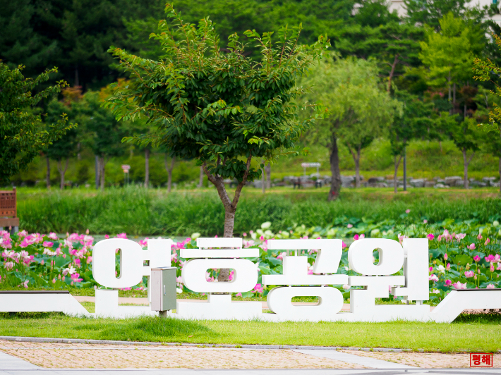 울진 연호공원 전경. 울진군 제공