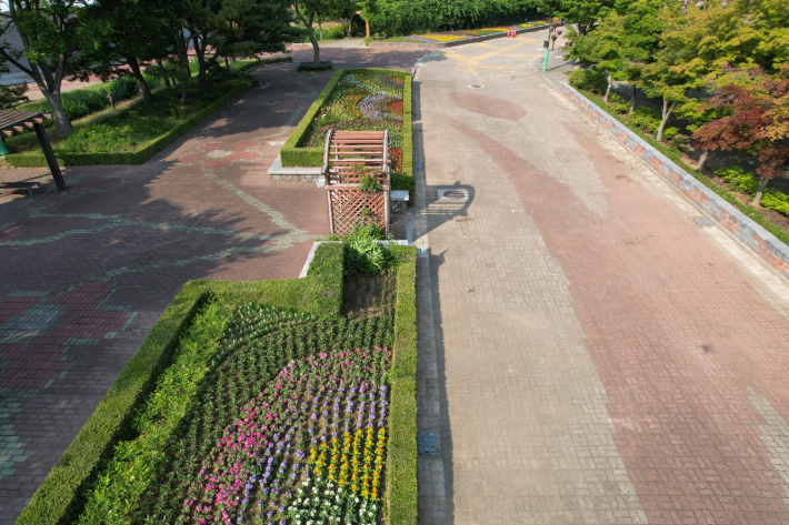 울진 왕피천공원이 여름꽃으로 화사하게 새단장을 마쳤다. 울진군 제공