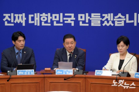 발언하는 김병기 당대표 직무대행 겸 원내대표