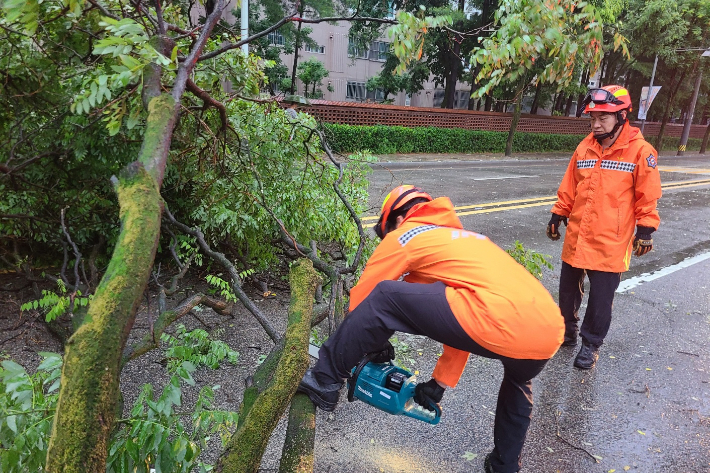 지난 20일부터 내렸던 비로 전북 지역 곳곳에서 크고 작은 사고가 발생했으며, 농작물 피해도 잇따랐다. 전북소방본부 제공
