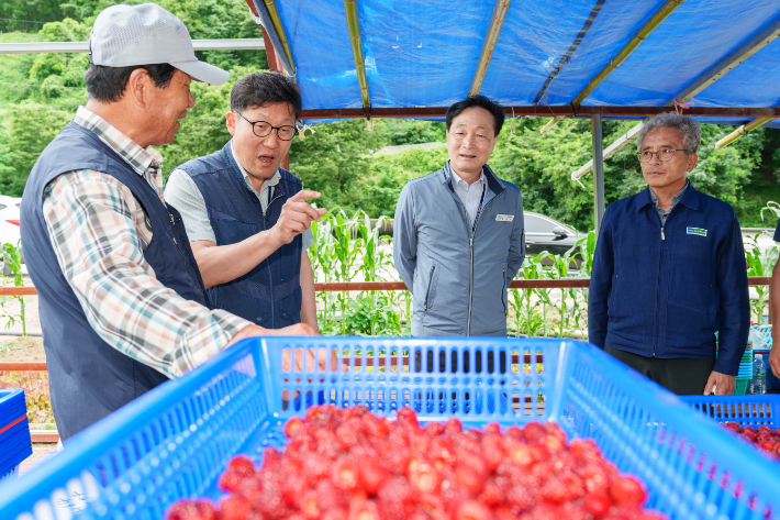 정원호(가운데) 월성본부장이 경주 문무대왕면 산딸기 작목반을 찾아 산딸기를 살펴보고 있다. 월성본부 제공
