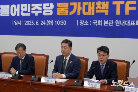 발언하는 진성준 정책위의장