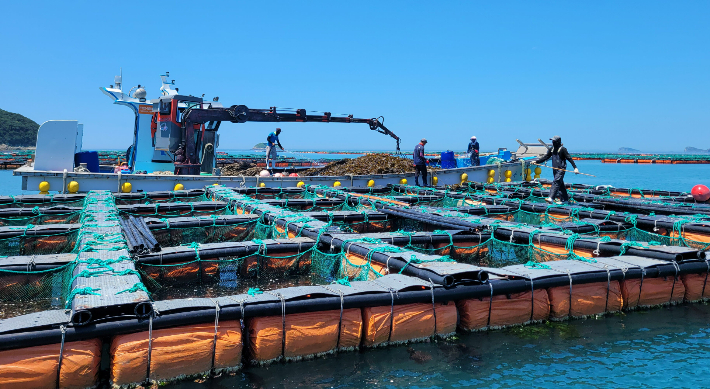 전남 완도 보길도 전복양식장. 전라남도 제공