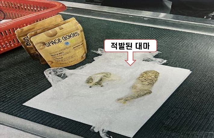 밀수하다가 적발된 대마 쿠키. 대구지방검찰청 제공