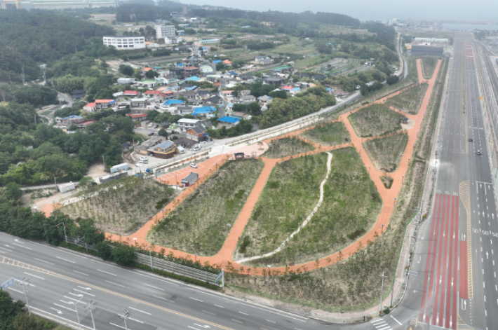 포항해수청, 영일만항에 비산먼지 막는 3만㎡ 숲 조성