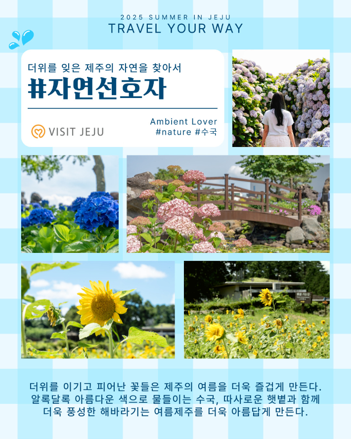 제주관광공사 제공