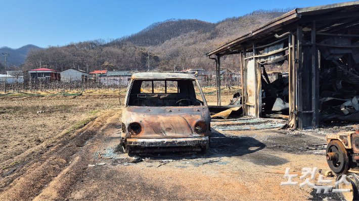 경북 산불 현장. 정진원 기자