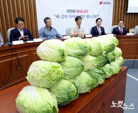 배추 쌓인 국민의힘 주최 김민석 총리후보자 국민청문회