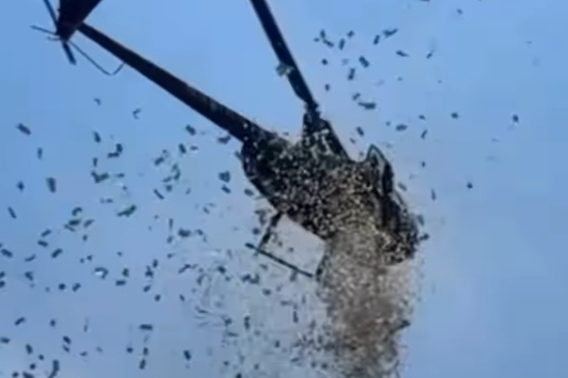 온라인 커뮤니티 캡처