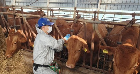 기사와 관련없는 자료사진. 연합뉴스