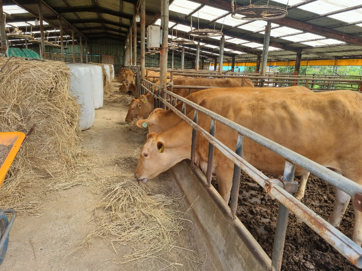 축사. 전라남도 제공