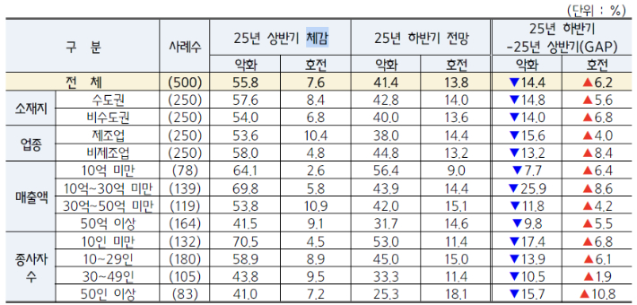 2025년 상반기 경영 실적 및 하반기 경기 전망. 중소기업중앙회 제공