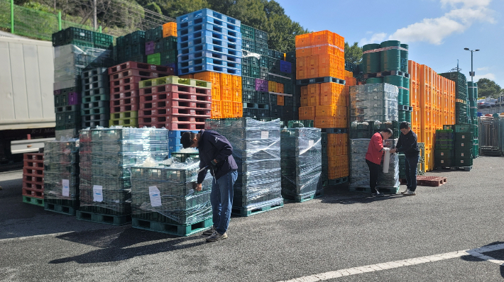 광주광역시는 2일 광주김치 1.5t(1만3000달러 상당)을 미국에 수출했다고 밝혔다. 광주시 제공