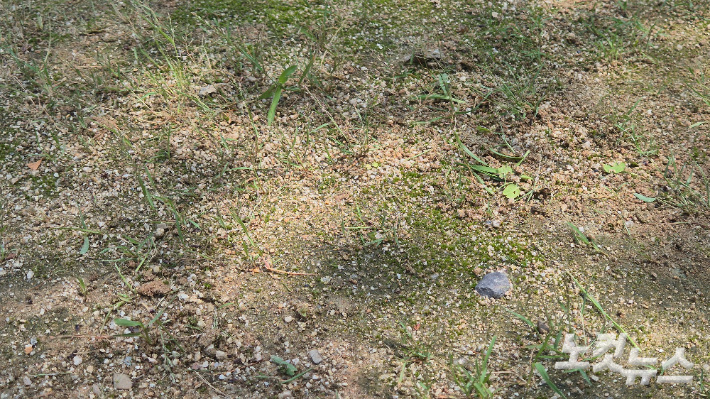 2일 오전 찾은 광주 서구 농성어린이공원의 맨발길. 20m 남짓의 맨발길에는 잡초가 무성하게 자라나 있었고 중간중간 뾰족한 자갈도 보였다. 한아름 기자