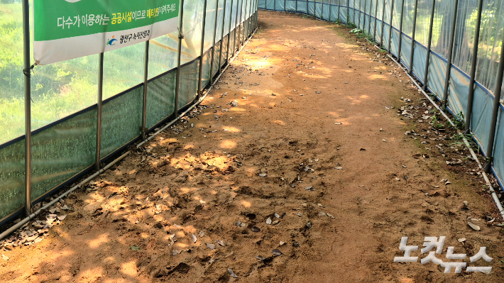 길 곳곳이 파이고 낙엽이 수북이 쌓인 채 방치된 광산구 월계동 생태광장 맨발길의 모습. 중간중간 녹색 이끼도 껴있다. 한아름 기자