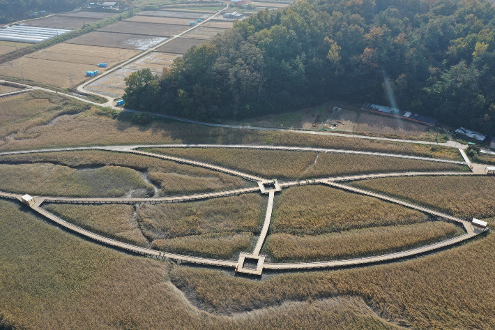 벌교 갯벌탐방로 전경. 보성군 제공