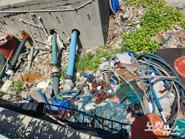 30년 만에 재개장한 부산 사하구 다대포 동측 해수욕장 한편에 쓰레기가 쌓여있다. 정혜린 기자