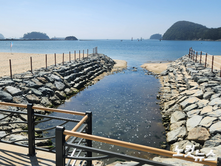 30년 만에 재개장한 부산 다대포 동측 해수욕장 한가운데 흐르는 우수관로에 거품 낀 혼탁한 물이 흐르고 있다. 정혜린 기자