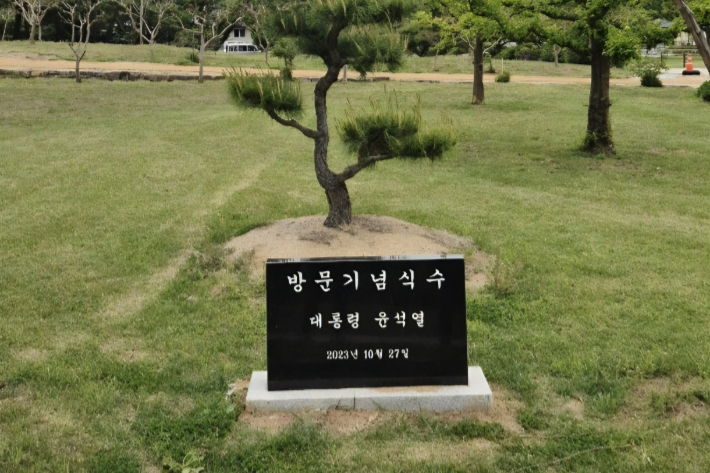 사라진 '윤석열 기념식수' 비석[어텐션 뉴스]