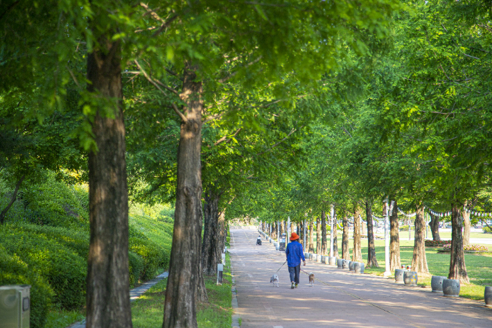 안성맞춤랜드 같이파크. 자료사진