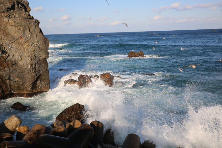 동해해경, 연안사고 위험예보 '관심' 단계 59일간 발령. 동해해양경찰서 제공