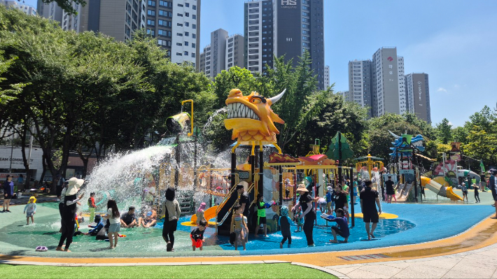 대구 서구 제공